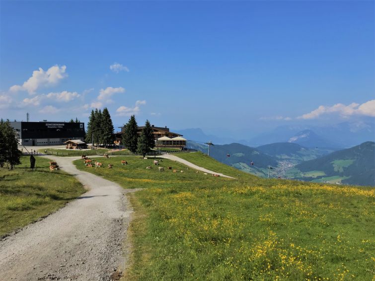 Photo of Familienglück