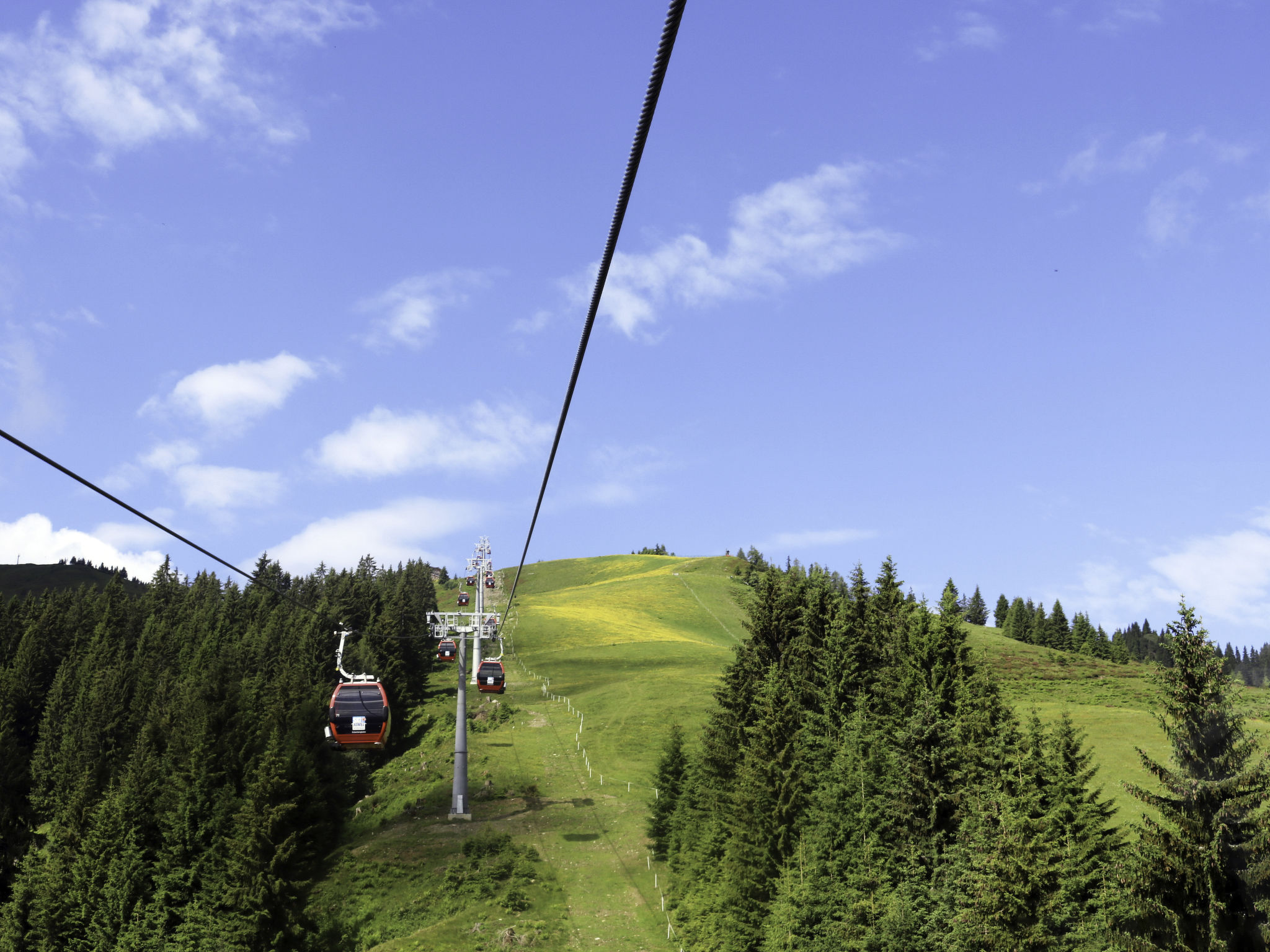 Bergland - Omgeving