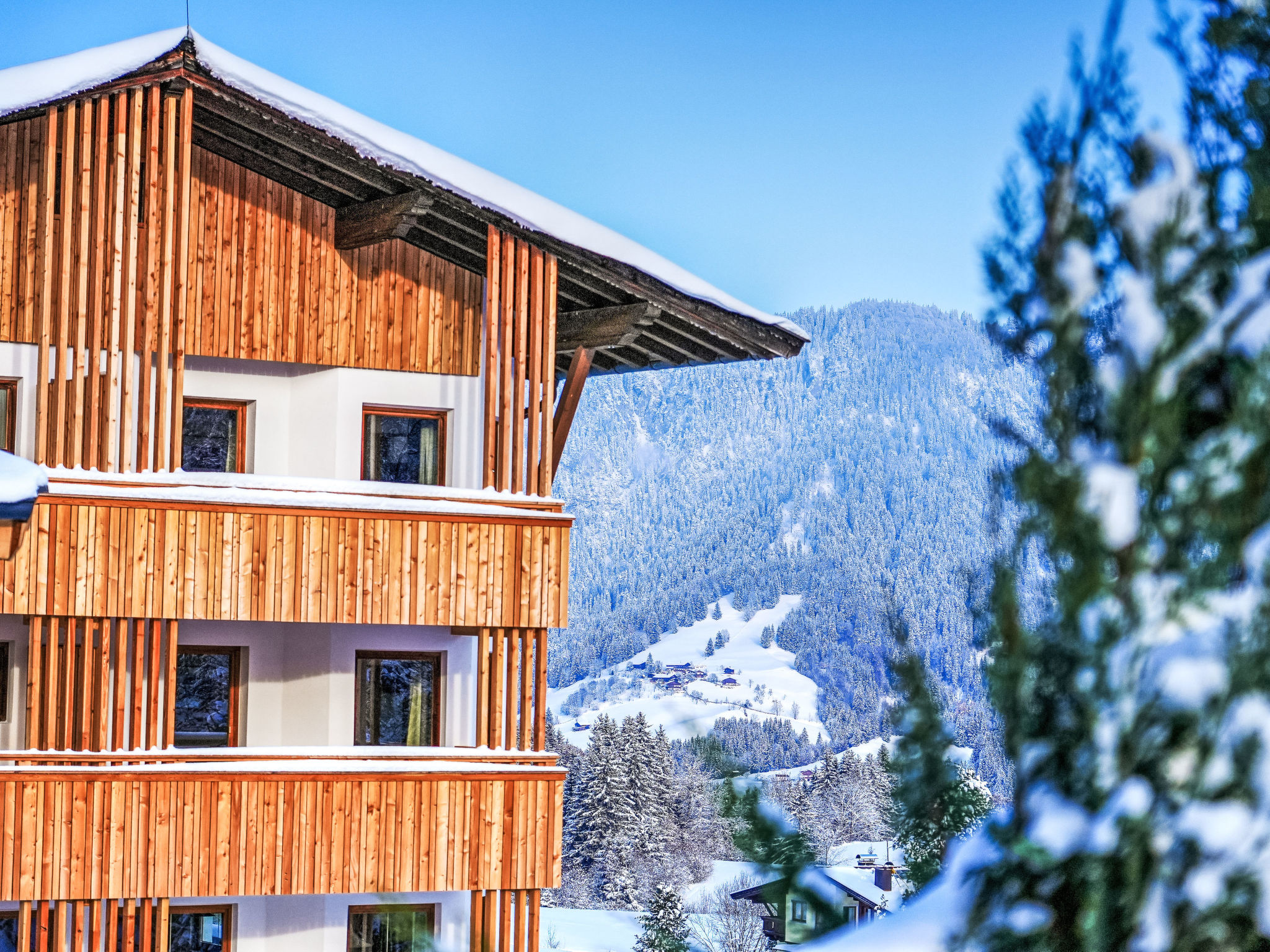 Aparthotel Iris: direct aan de piste in het zonnige Auffach - foto 29