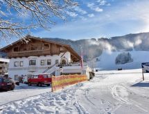 Luxuswohnung im Tiroler Almstil