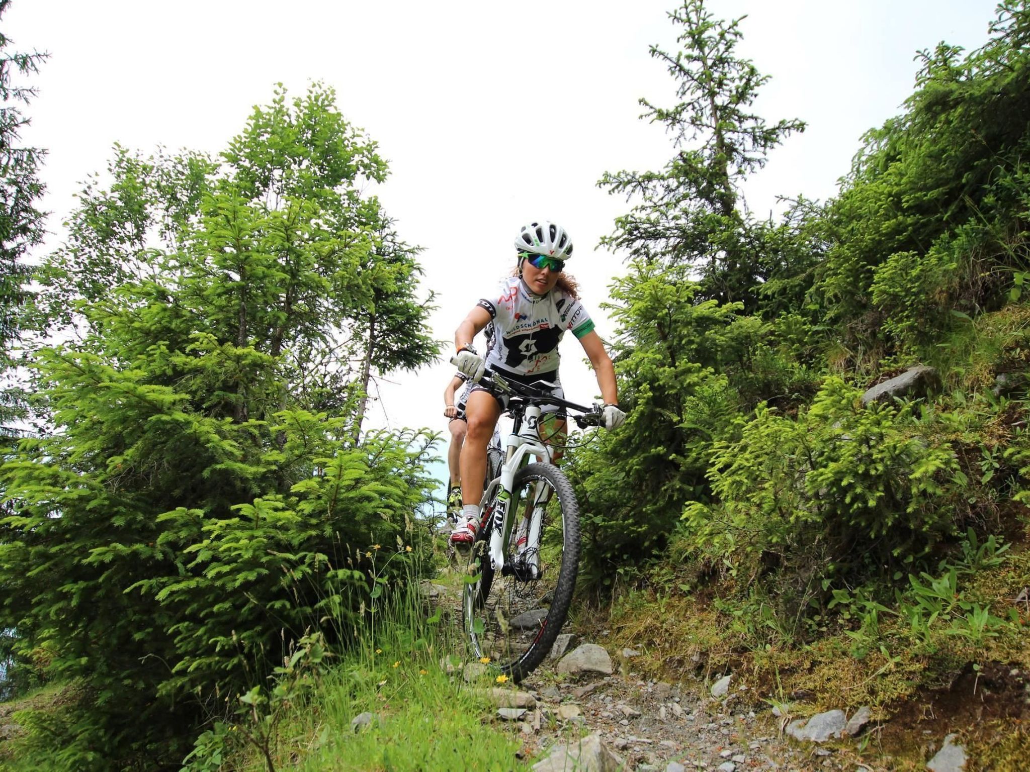 Luxuswohnung im Tiroler Almstil-Image-tags.info