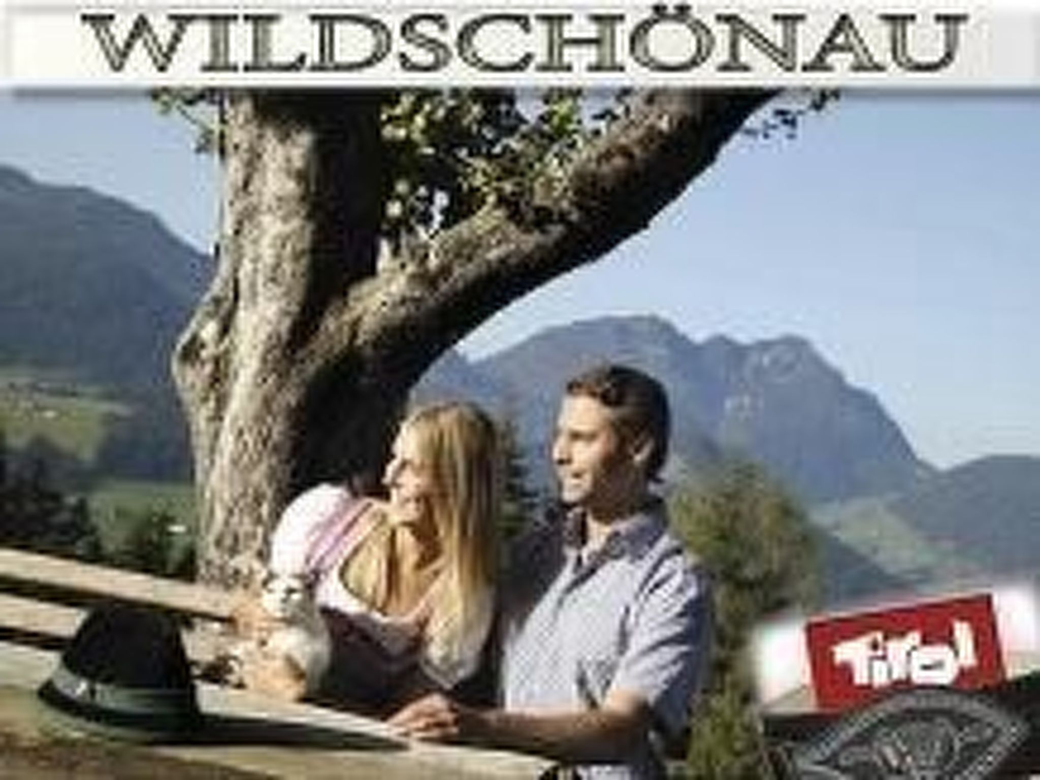 Luxuswohnung im Tiroler Almstil-Image-tags.info