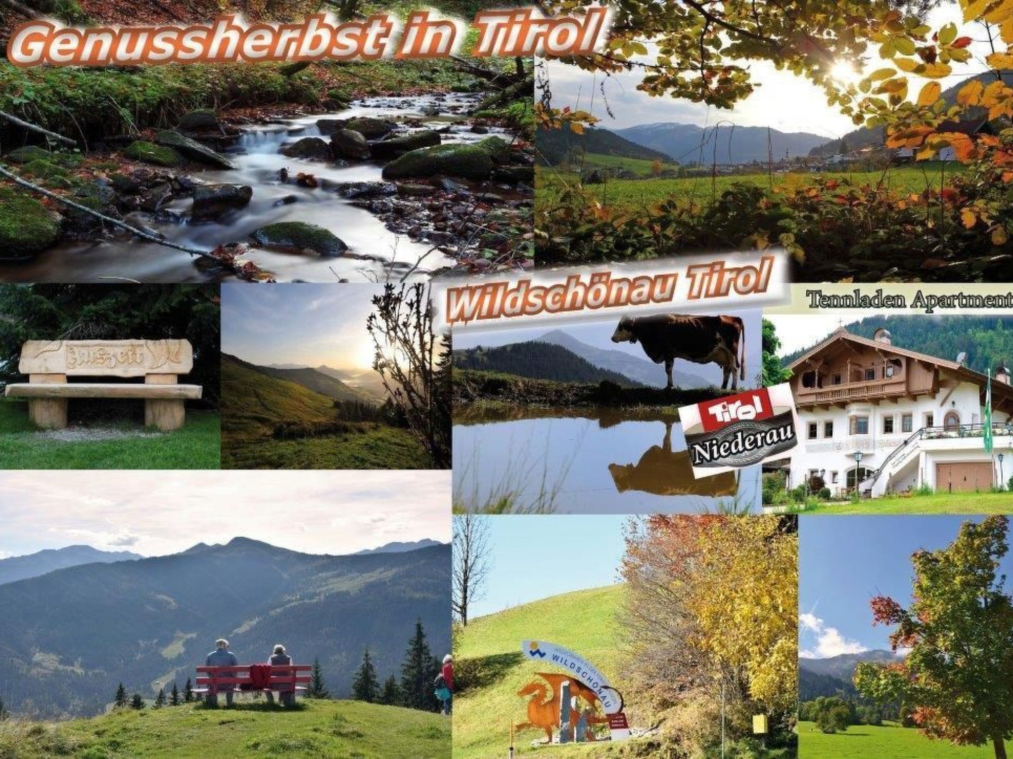 Luxuswohnung im Tiroler Almstil-Image-tags.info