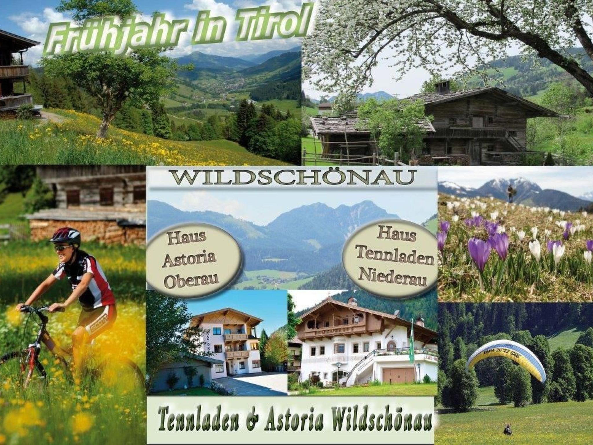 Luxuswohnung im Tiroler Almstil-Image-tags.info