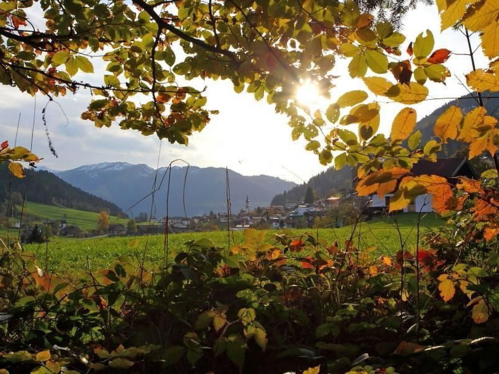 Luxuswohnung im Tiroler Almstil-Image-tags.info