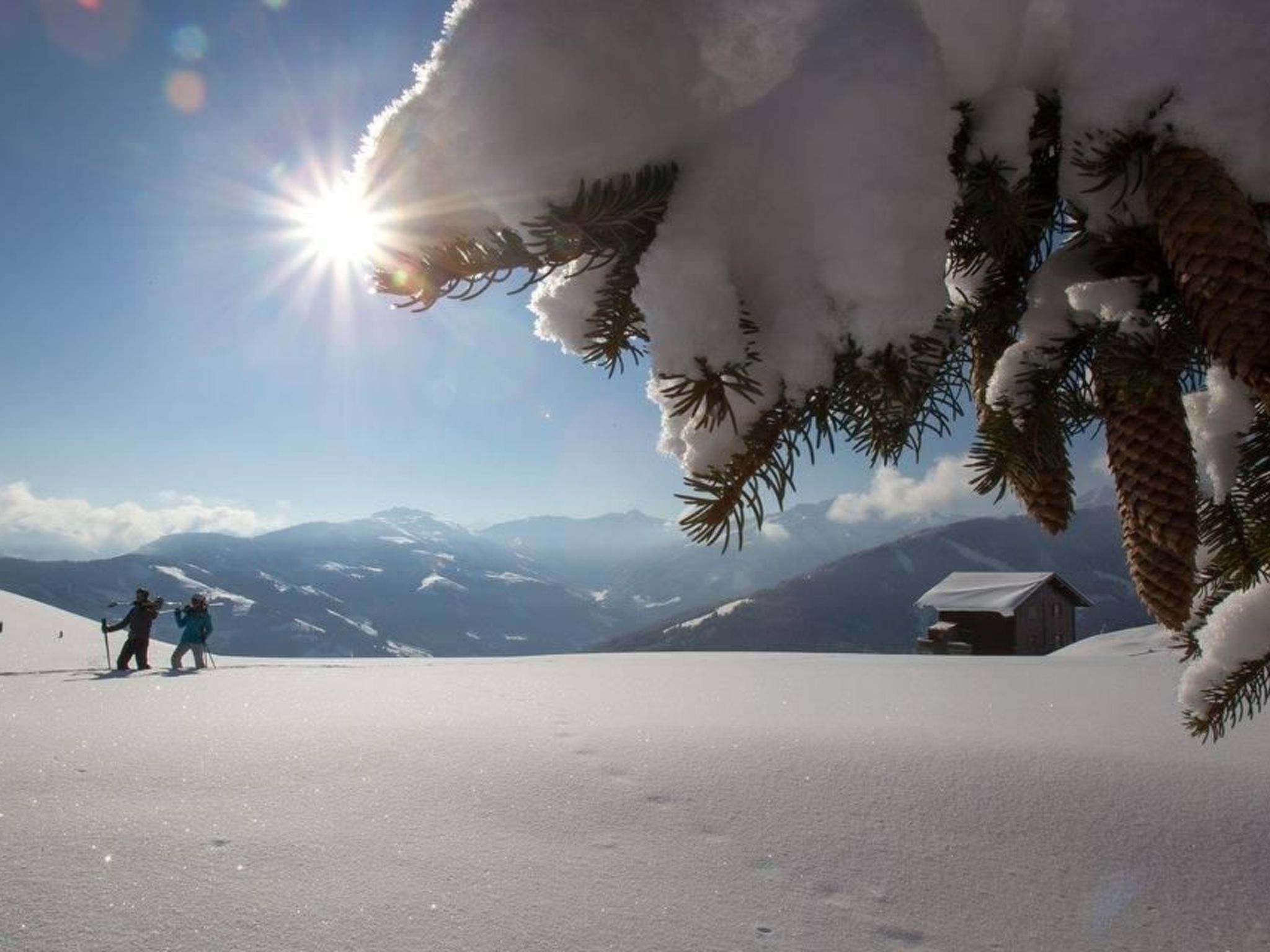 Luxuswohnung im Tiroler Almstil-Image-tags.info