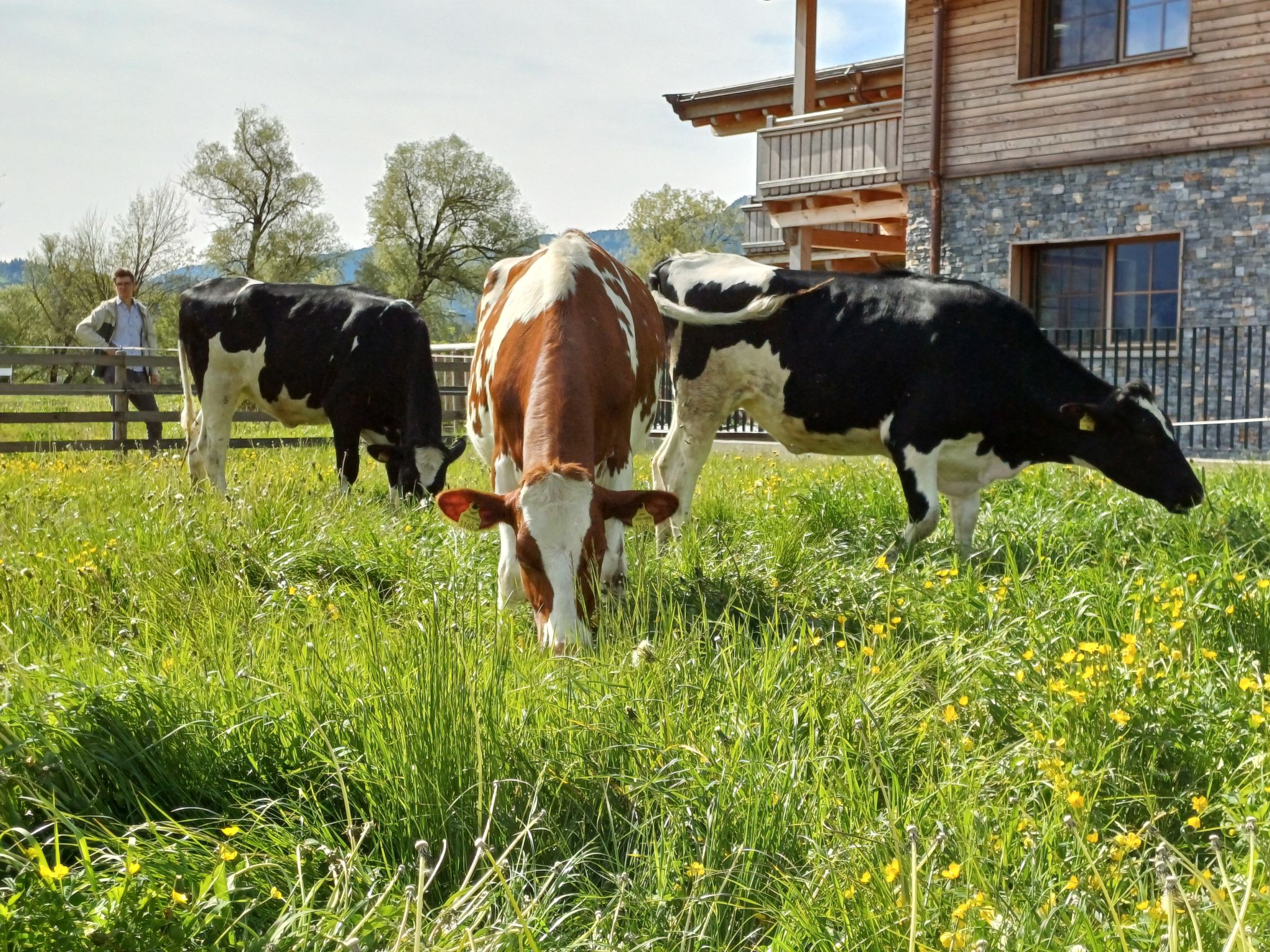 Photo of Das Panoramal