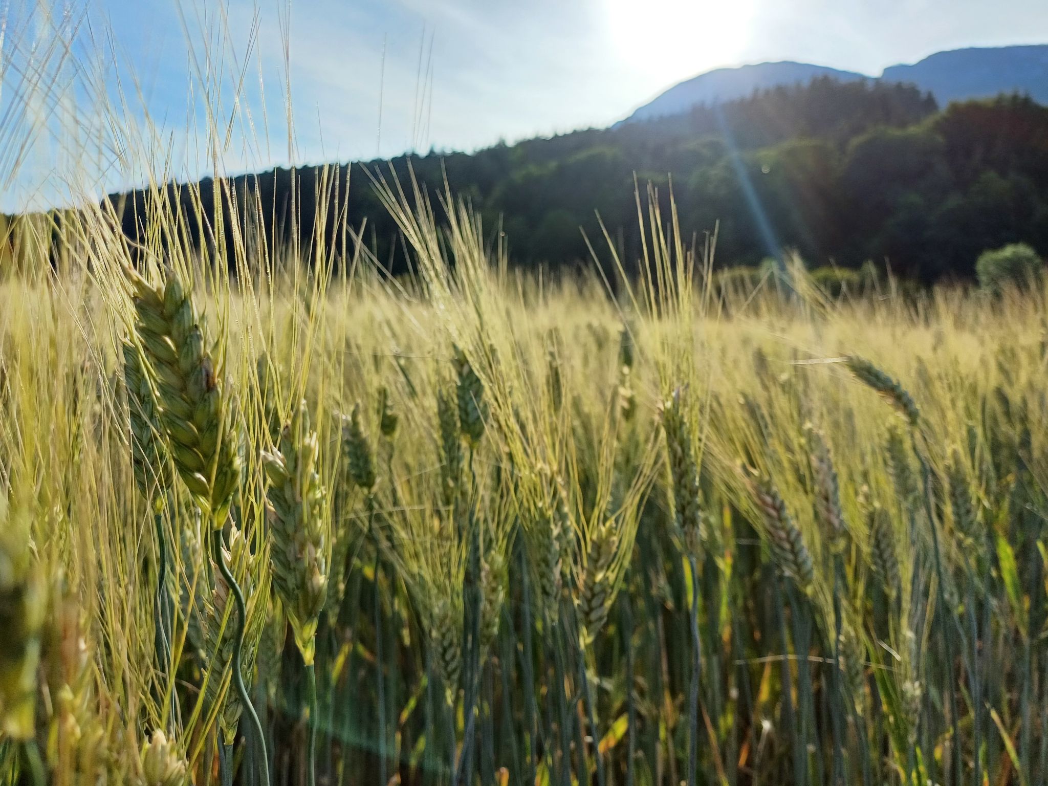 Das Panoramal-Buiten