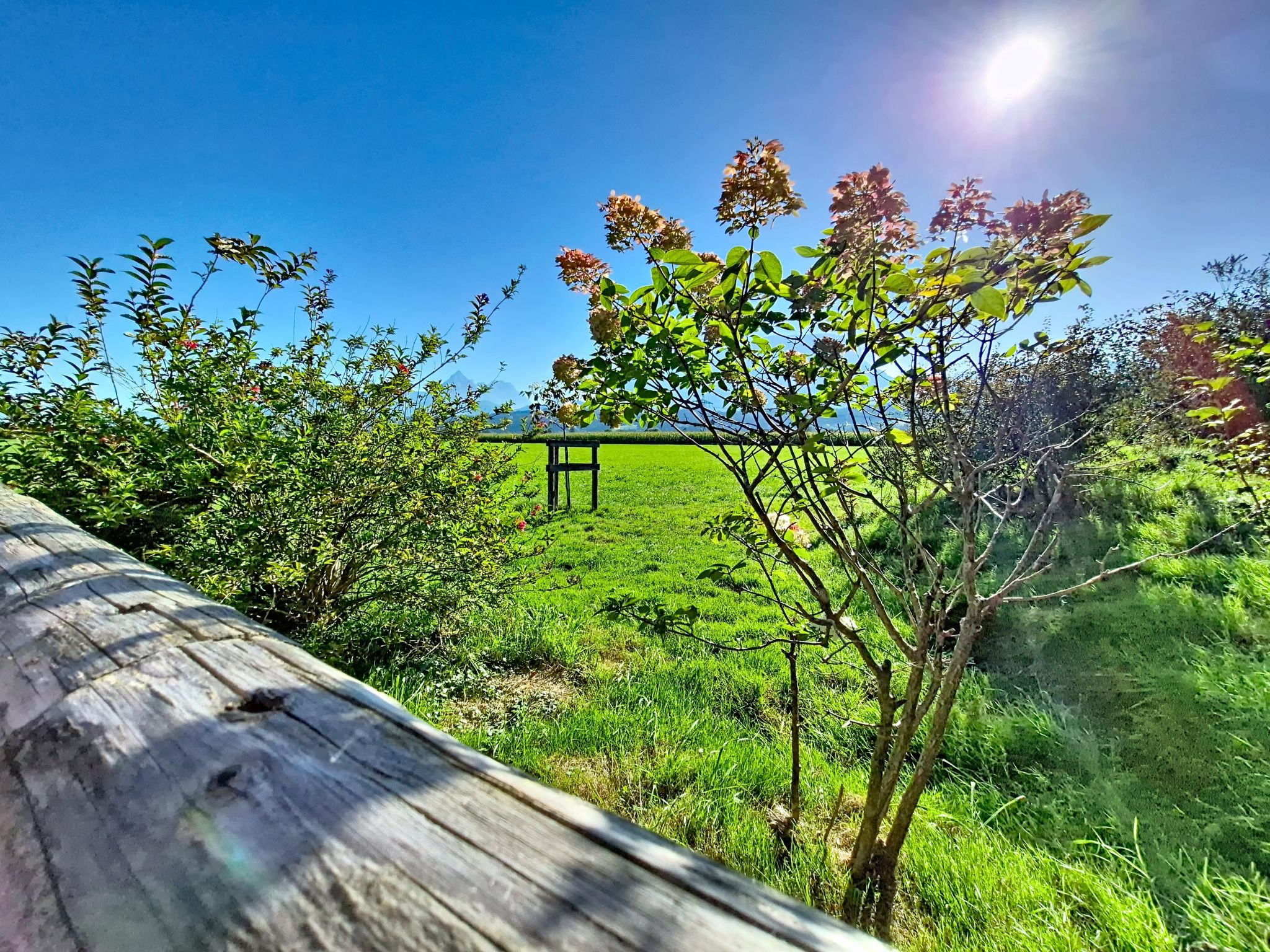 Die Tagträumerei - Buiten