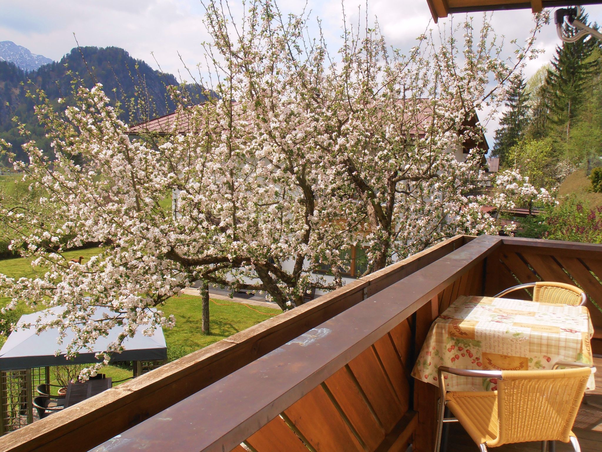 Photo of "Morgenrot"