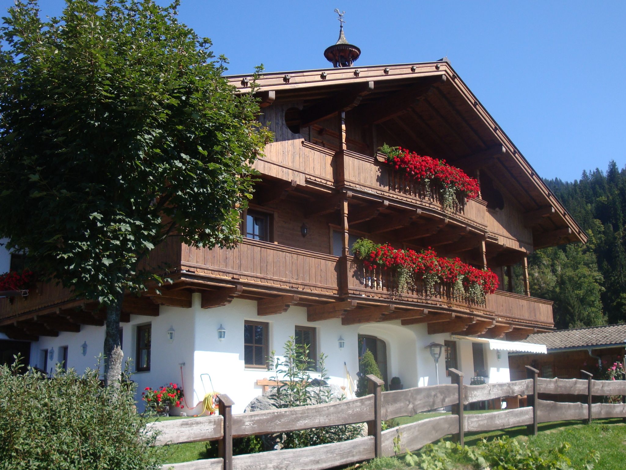 Hohe salve