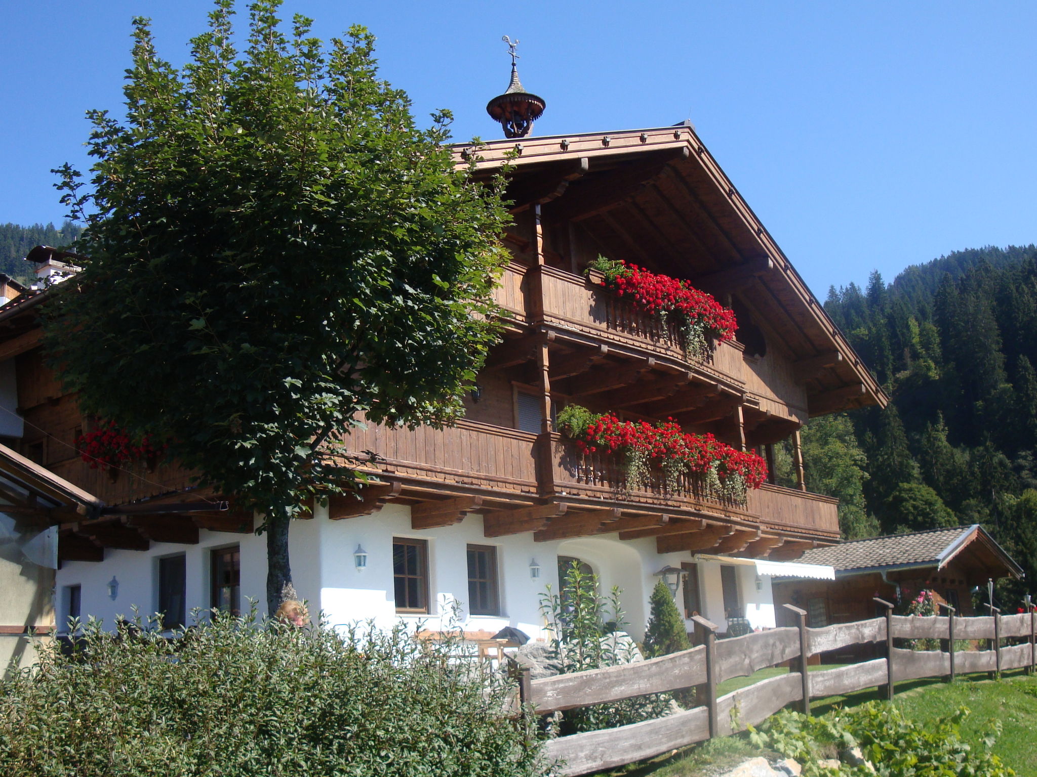 Bergpanorama