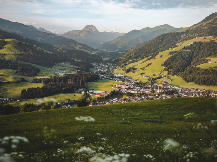 Photo of Taxacher