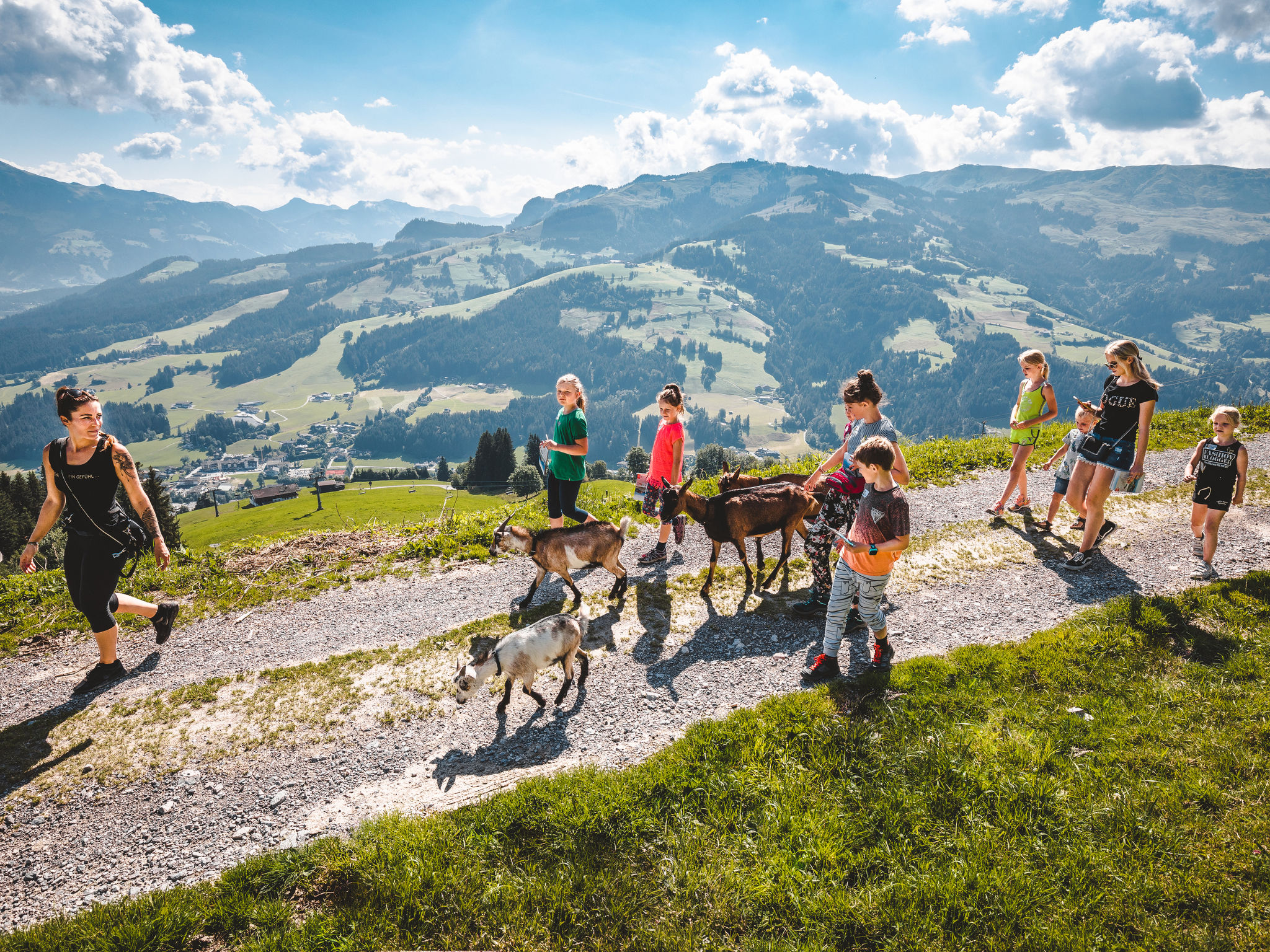 Ferienwohnung Daxer-Environnement