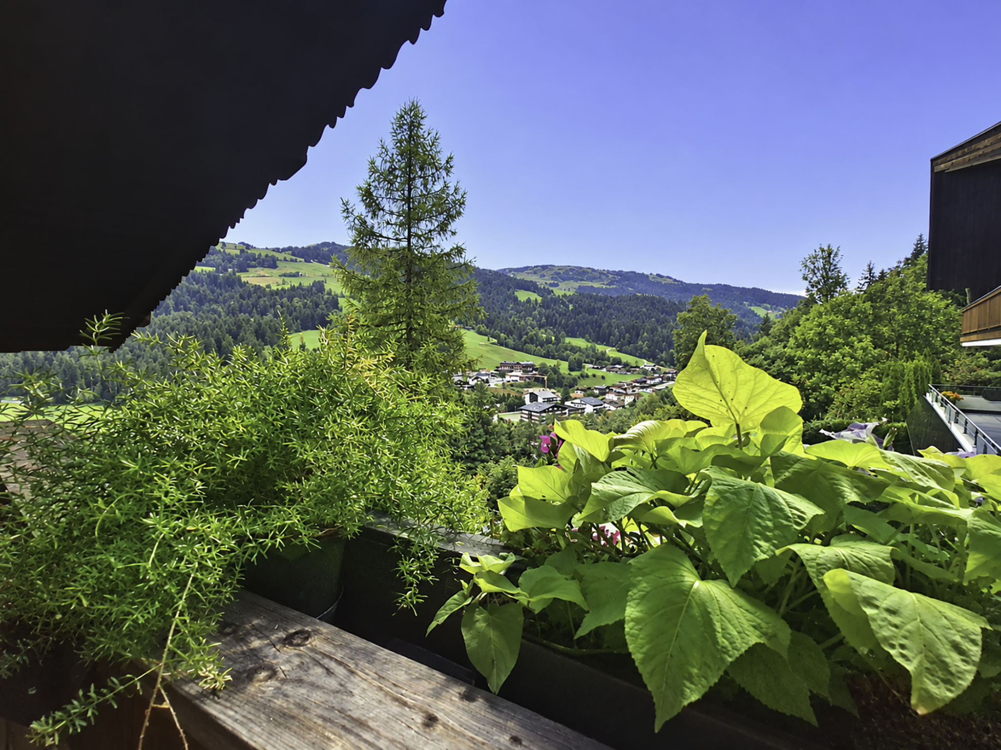 Photo of Manharthof