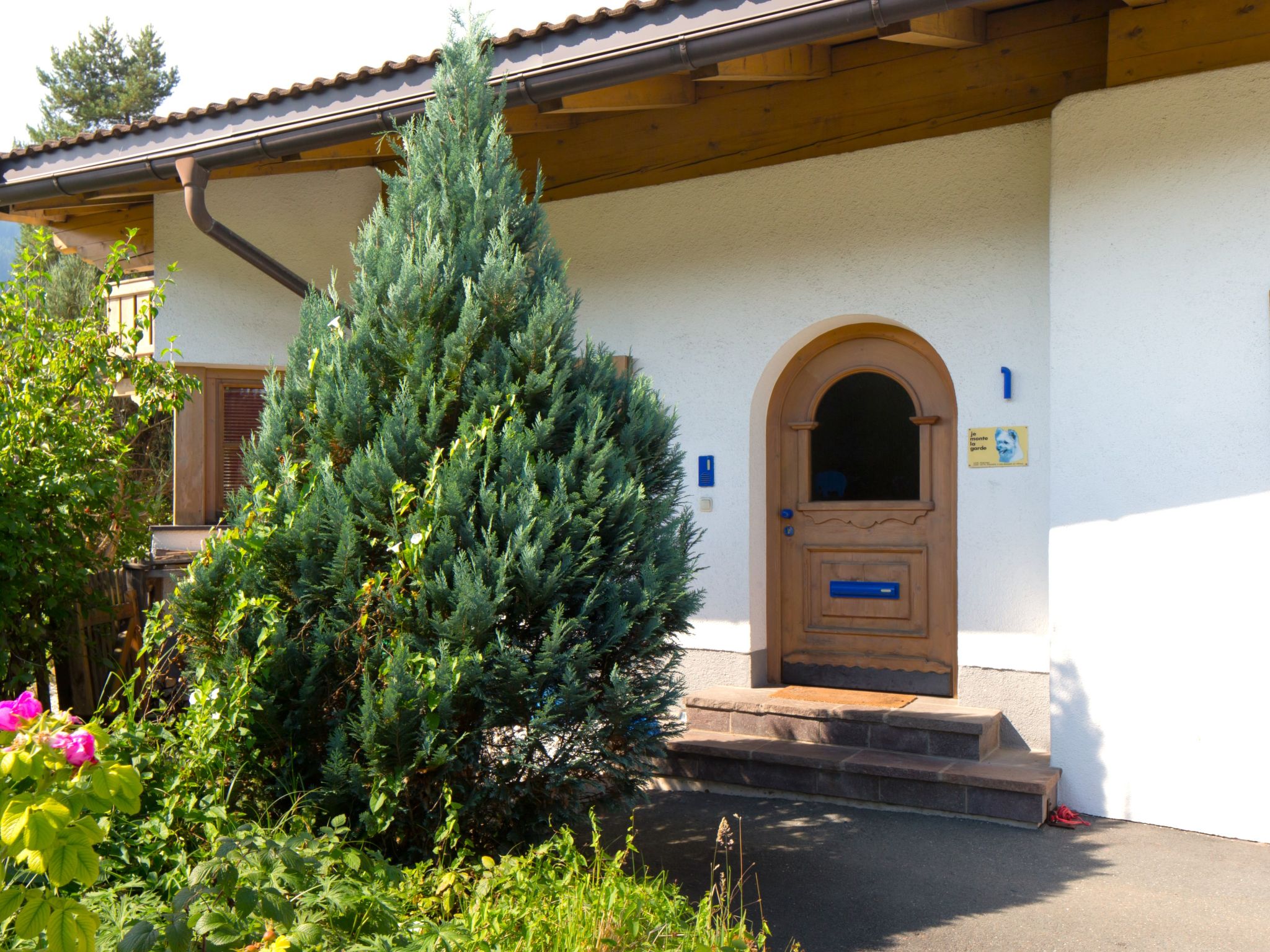 Blauer Elefant-Buiten