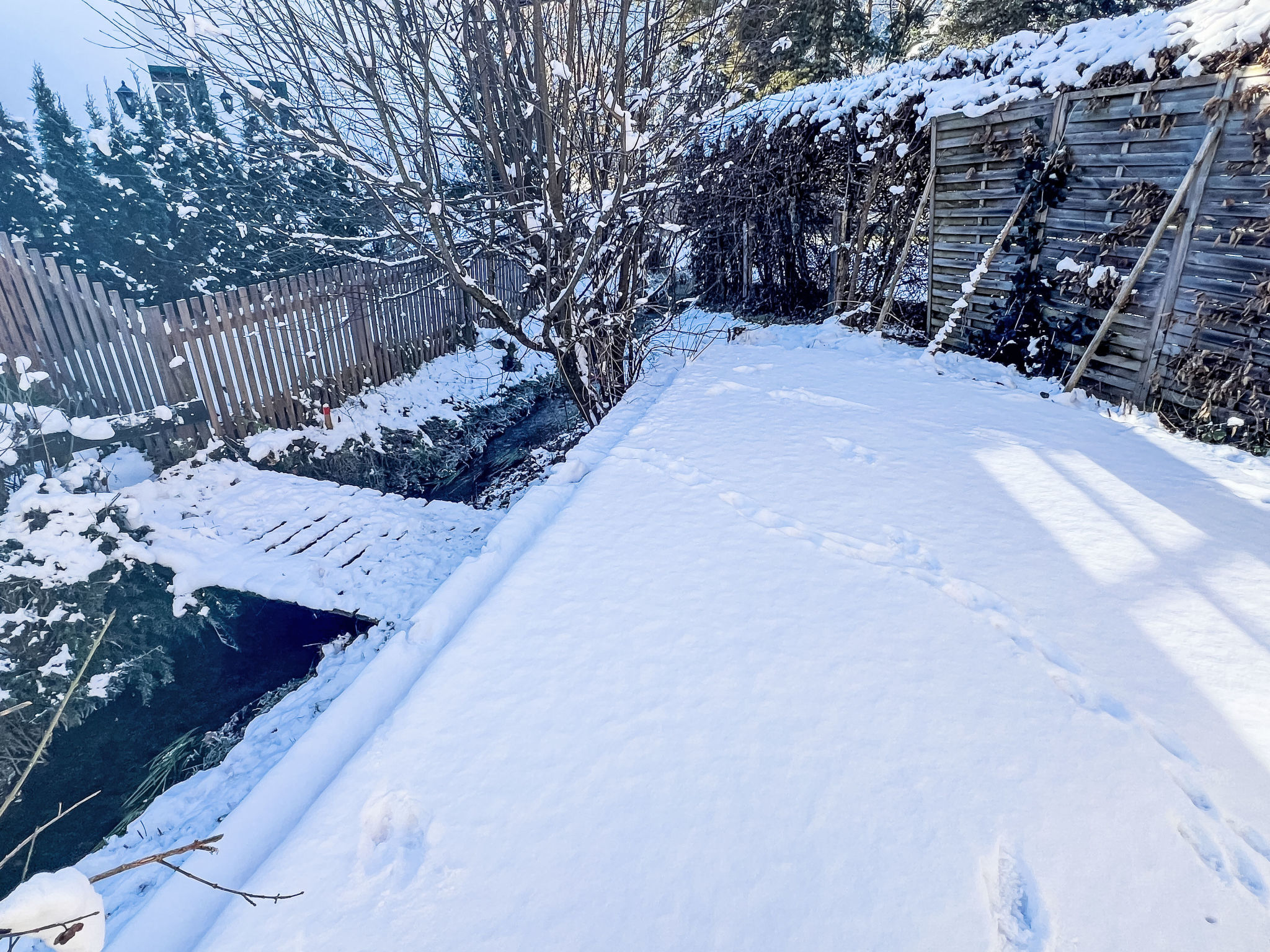 Blauer Elefant-Buiten