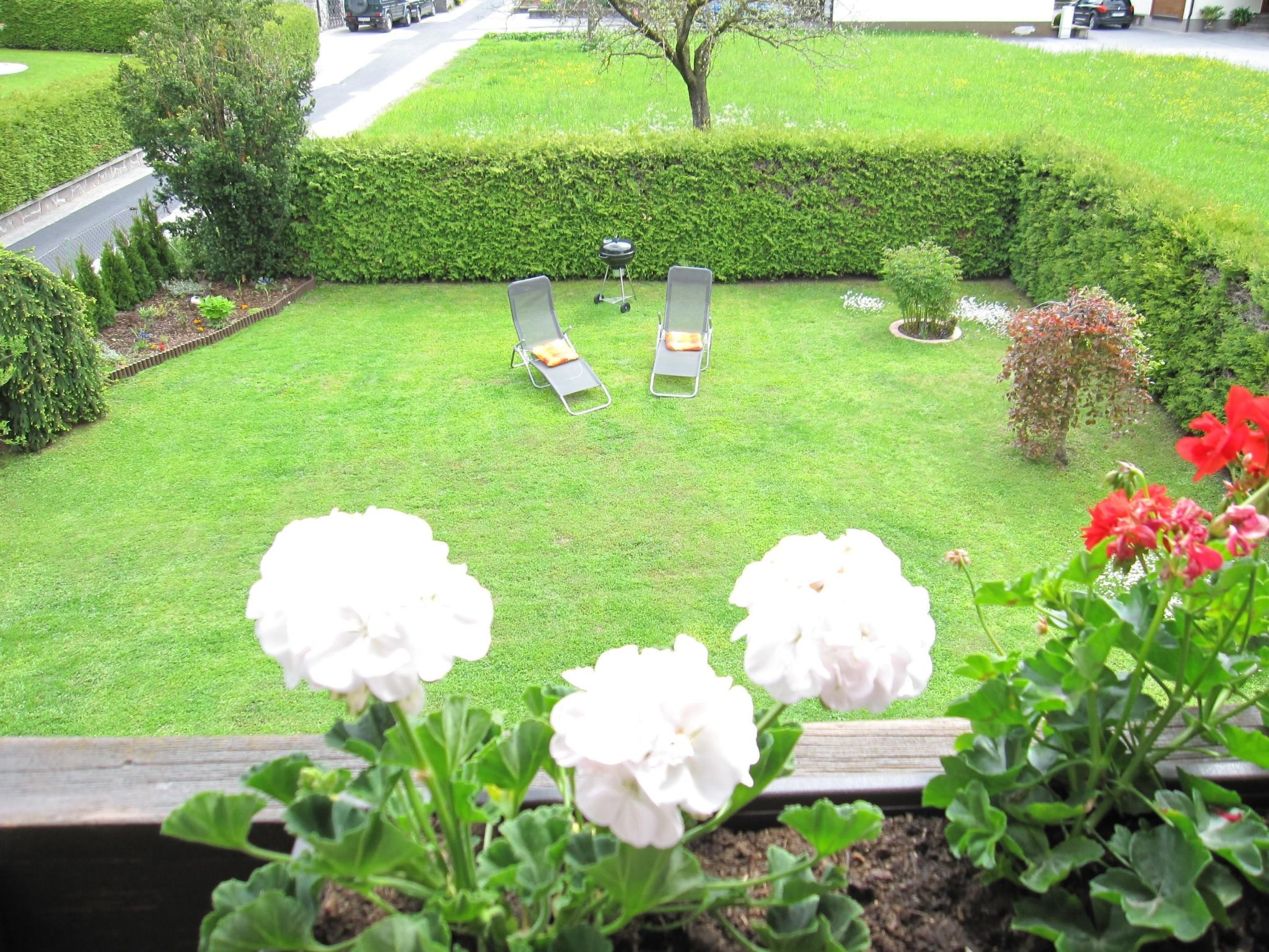 Rosa in Umhausen-Drinnen