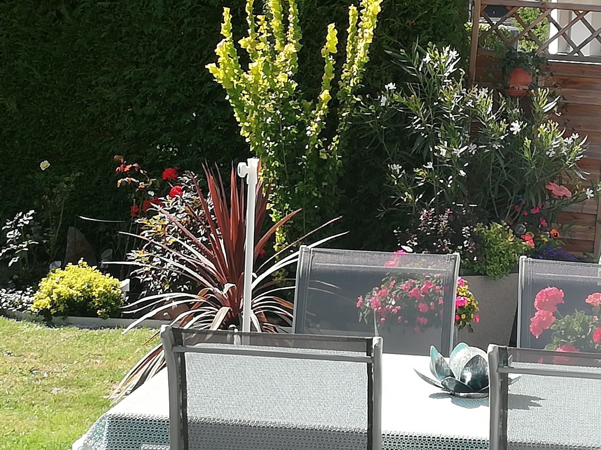 Rosa in Umhausen-Drinnen