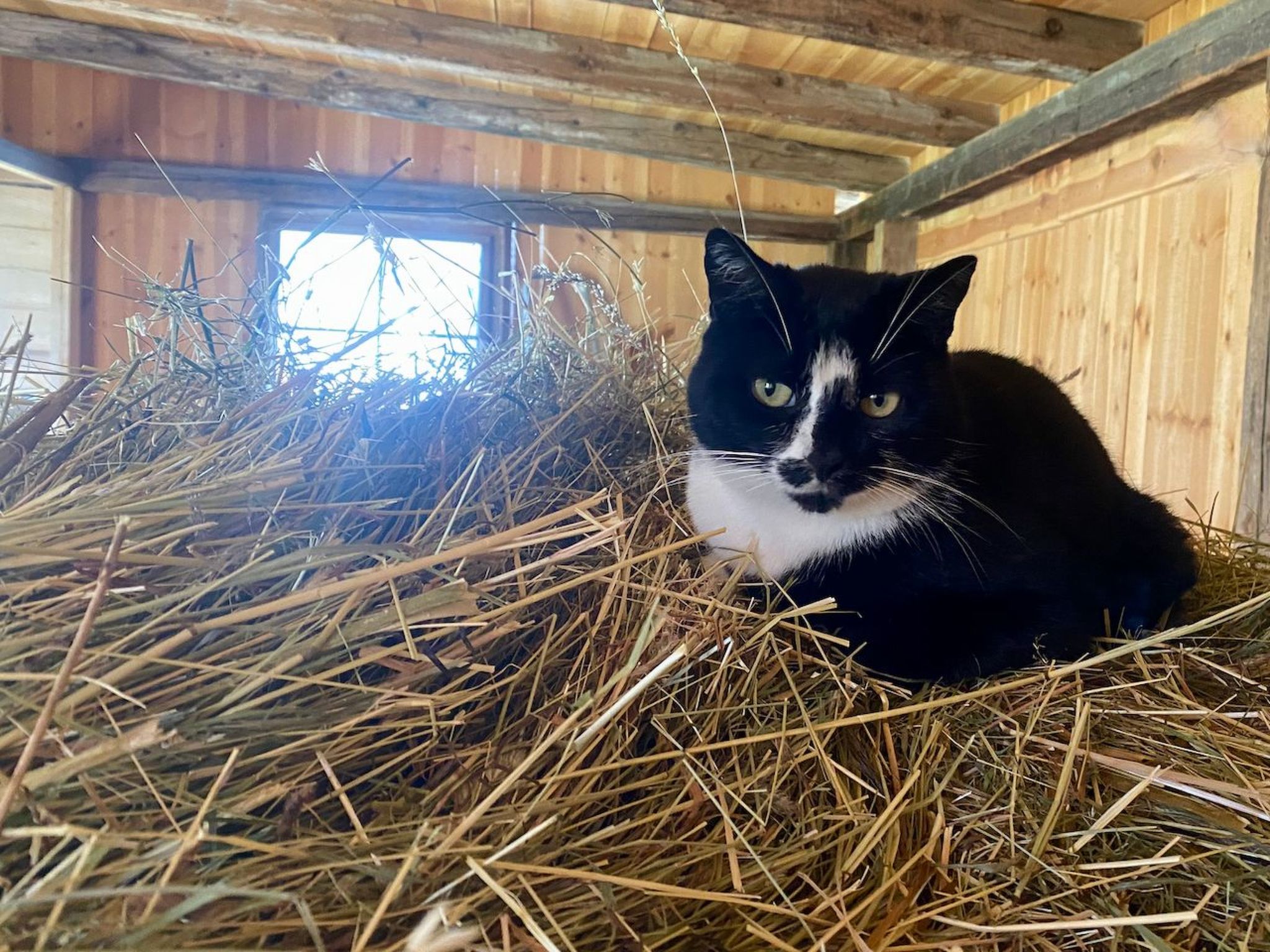 Tirol in Umhausen-Drinnen