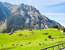 Feriebolig Berghof Reich