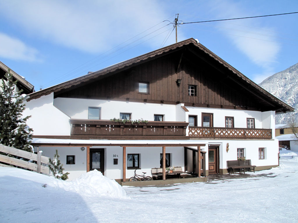 Ferienhaus Haus Helena Bauernhof in Österreich