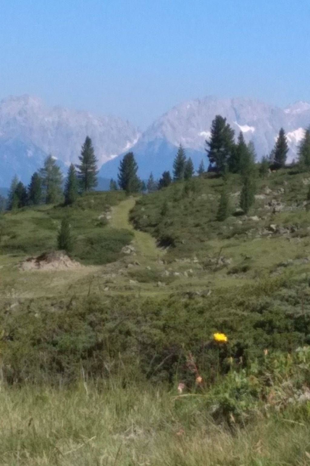 Photo of der GroßeStadl