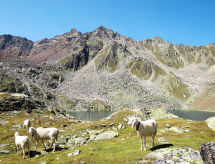 Ferienwohnung Alpenblick