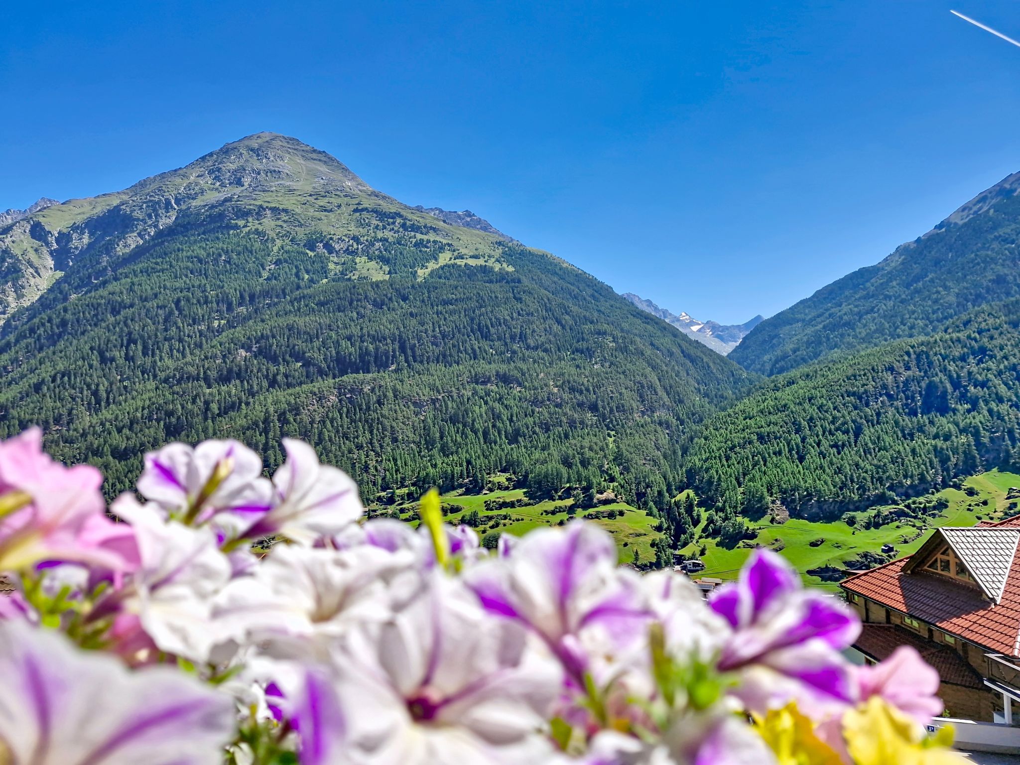 Photo of Alpenblick