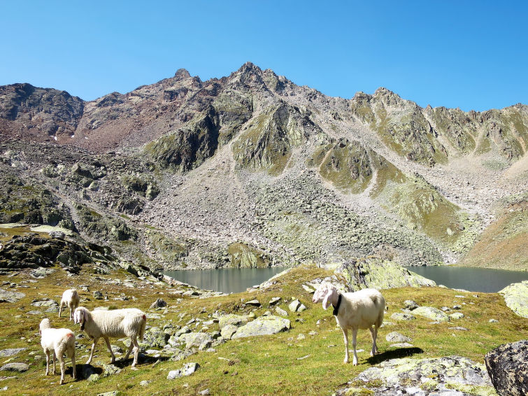 Photo of Windachschlucht Wohnung 1