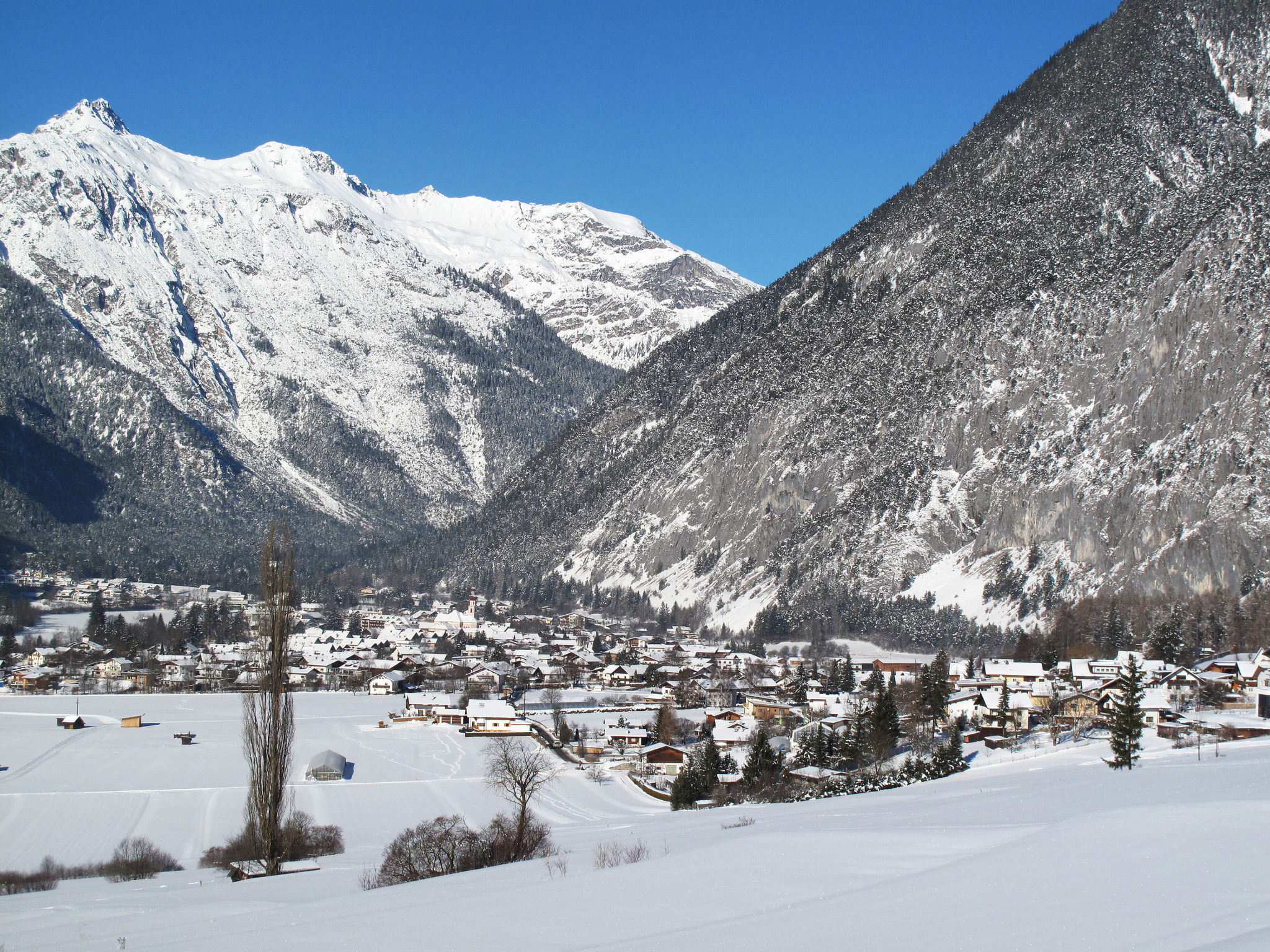 Friedl - Area