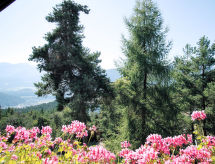 Holiday home Solea