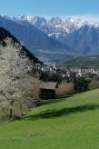 Ferienwohnung Alpengruss