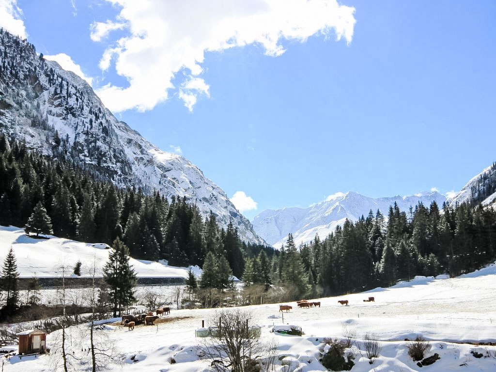 Bild 11
