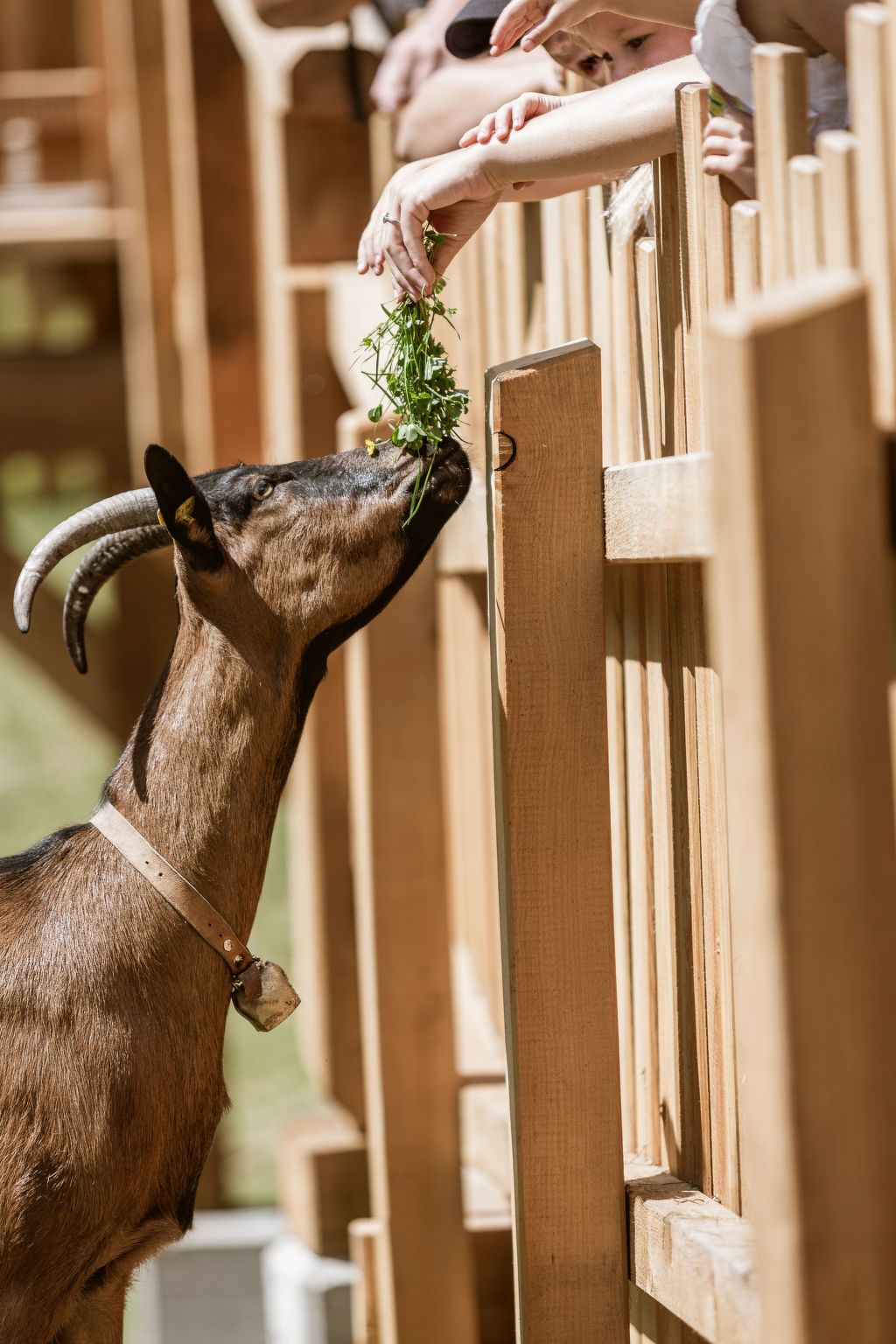 Appartement in Schönwies mit Garten und Terrasse-Image-tags.info