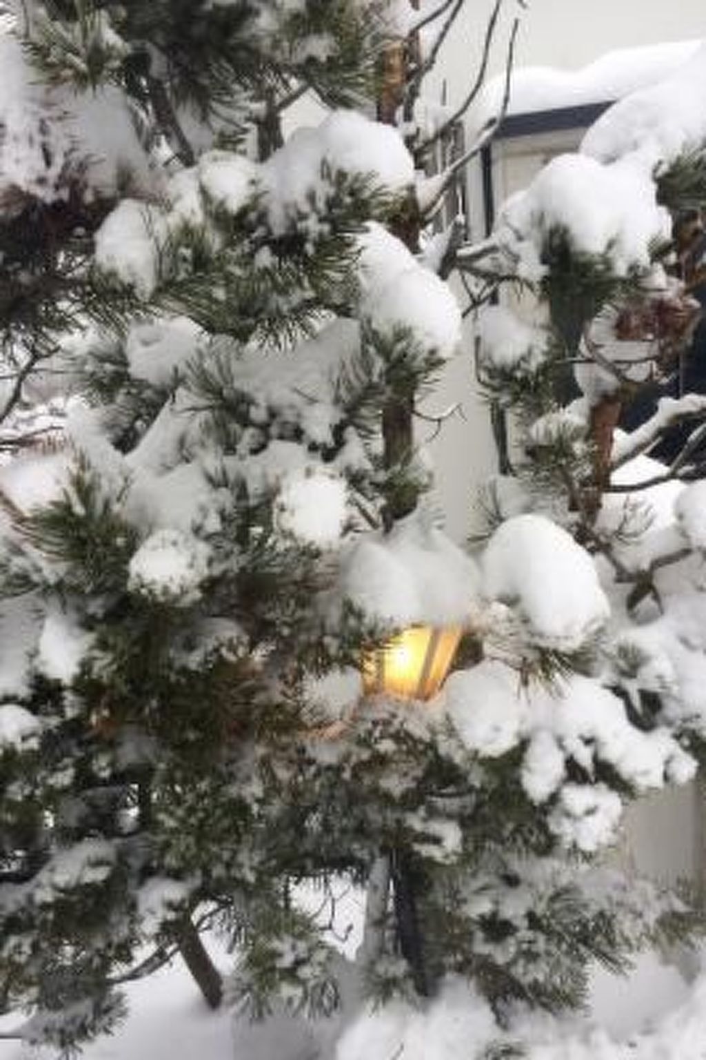 Komfortables Ferienhaus in Landeck mit Pool-Binnen