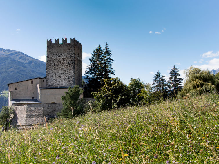 Burg Biedenegg, Niedermontani (FIE204)