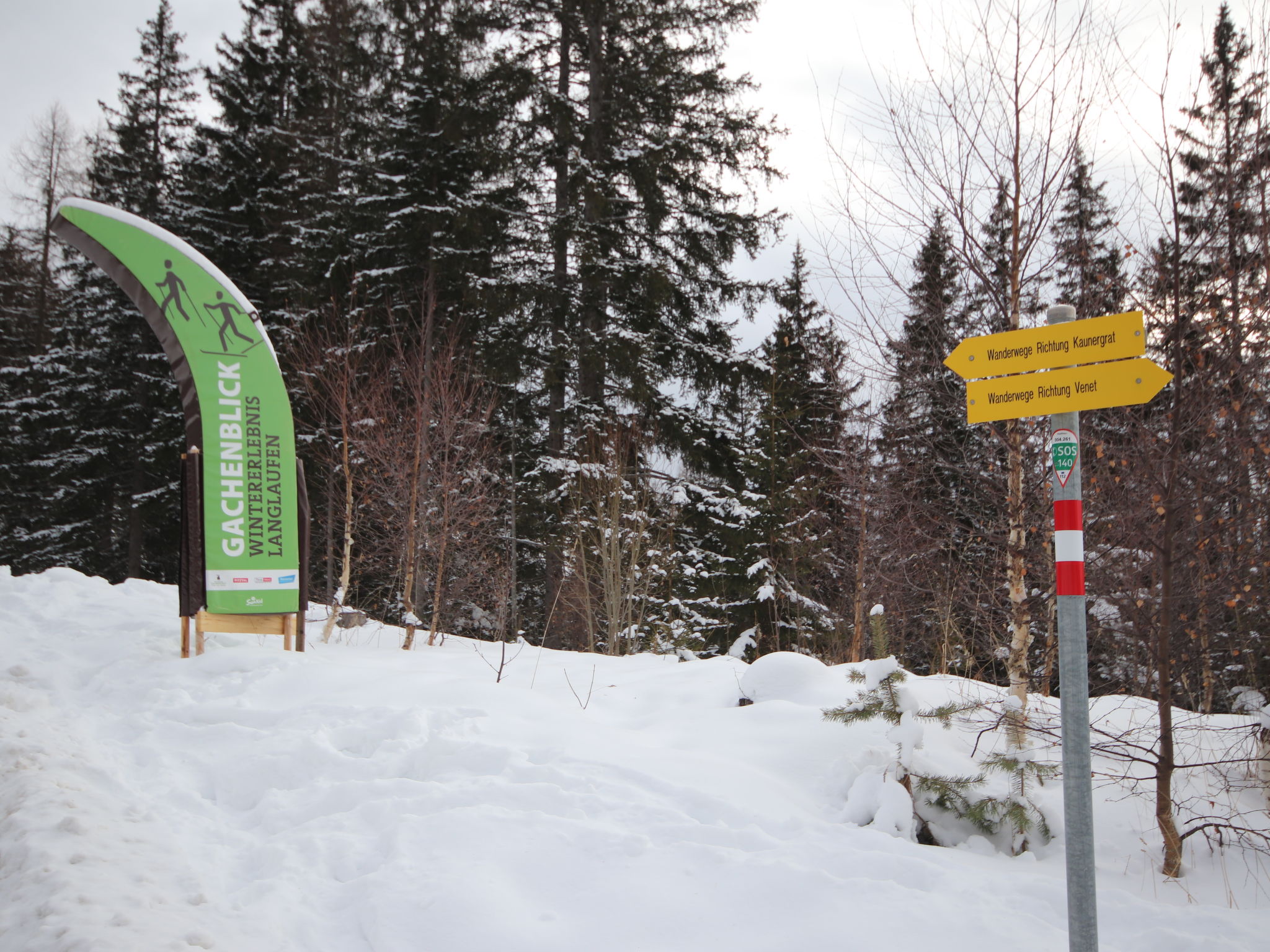 Chalet Ebenholz-Omgeving