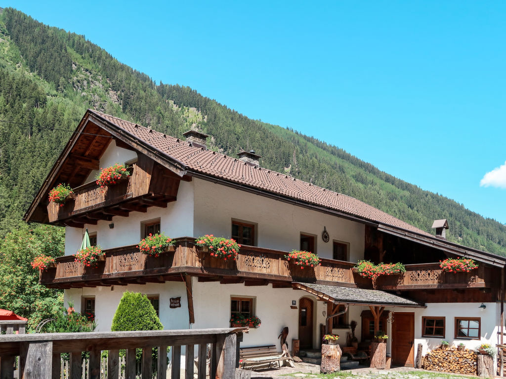 Haflingerhof Enzian Tirol