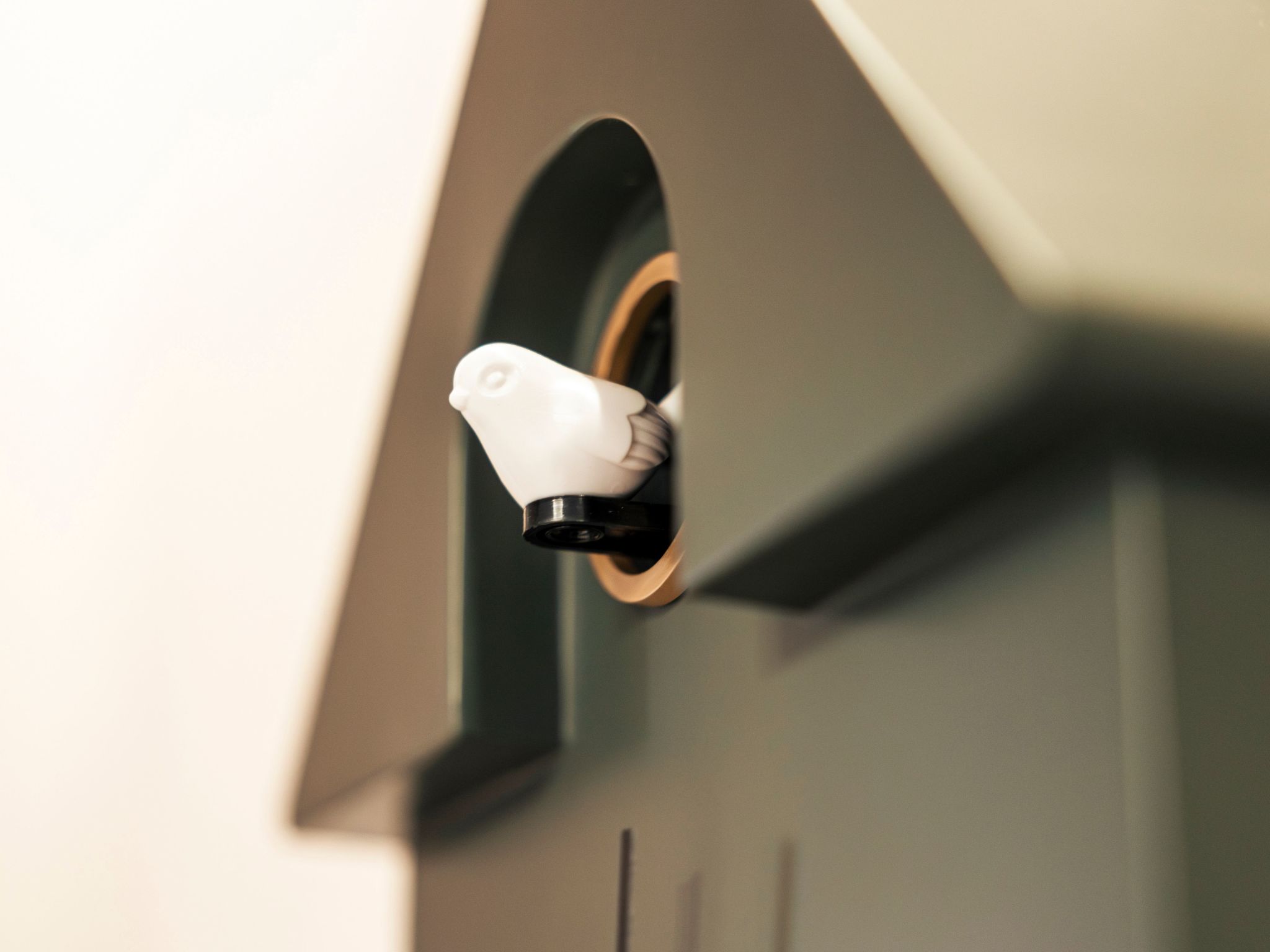 Apart  Bieles NEU-Image-tags.info