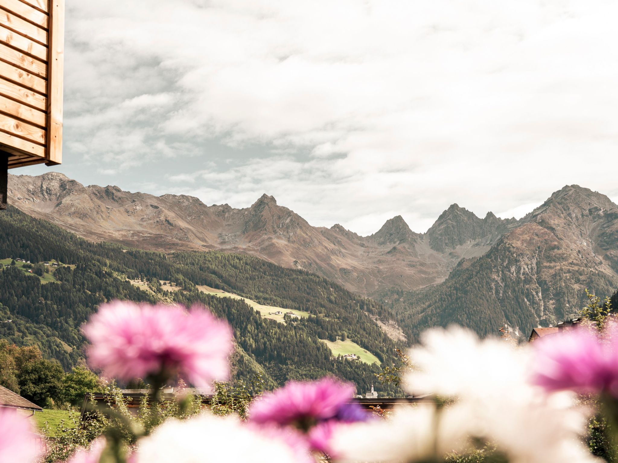 Apart  Bieles NEU-Image-tags.info