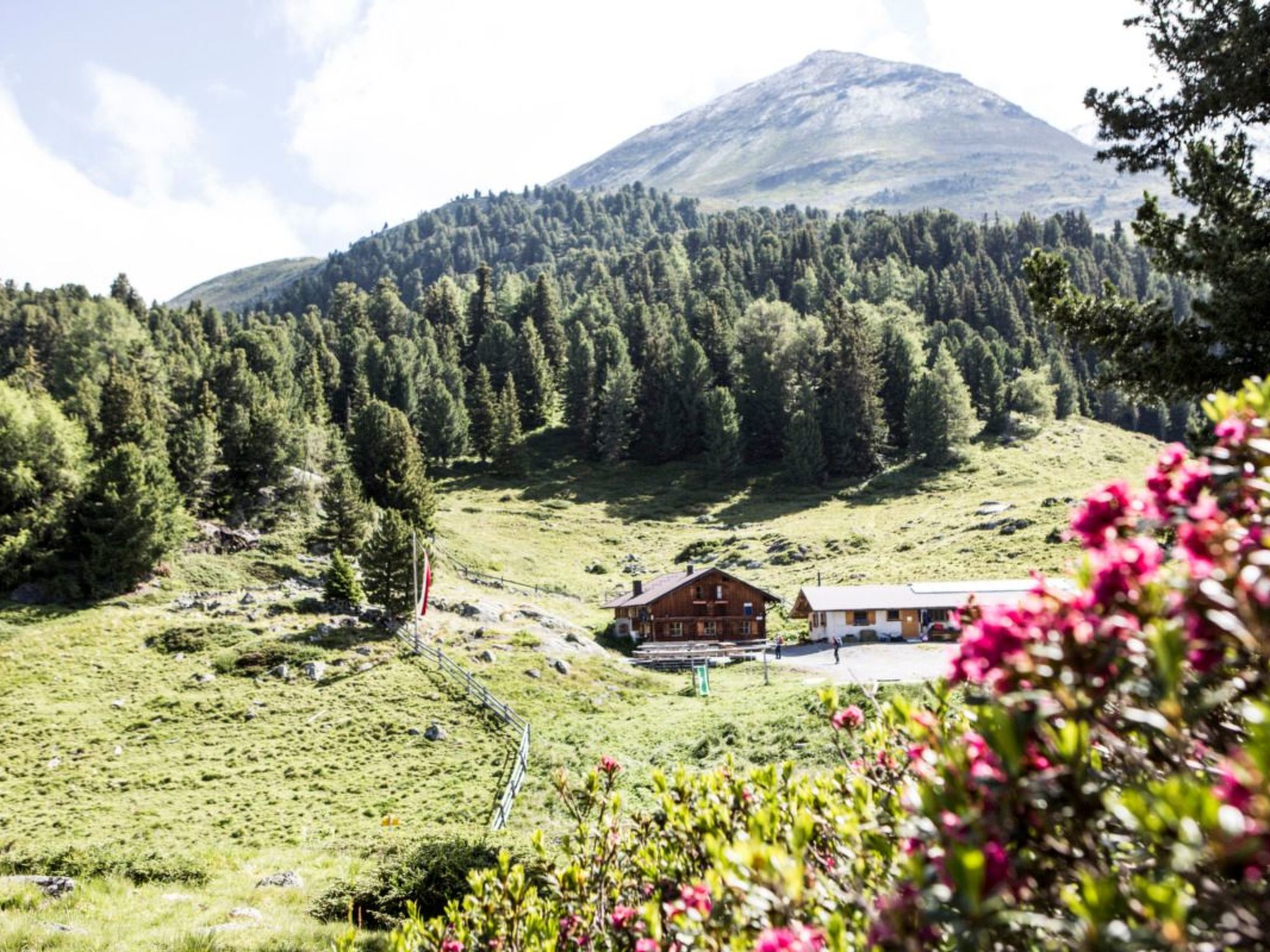 Apart  Bieles NEU-Image-tags.info