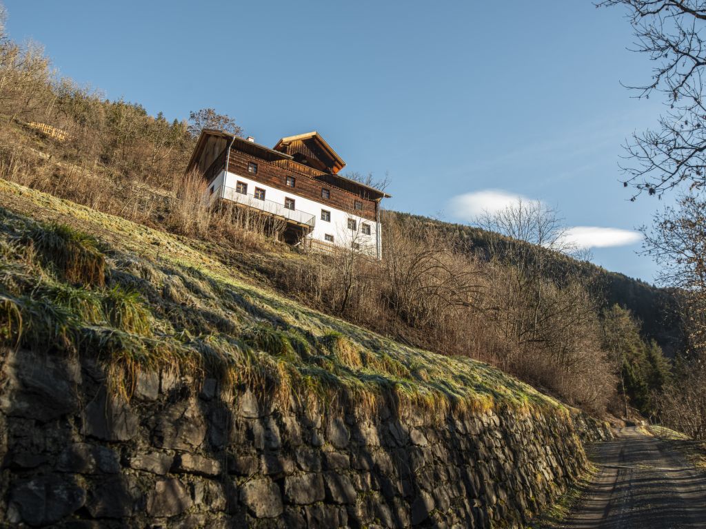 Peppi am Buchhammerhof Tirol