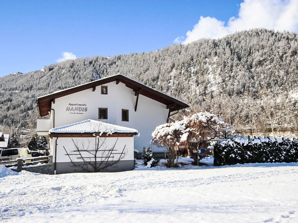 Ferienwohnung Handle Ferienwohnung  Tirol