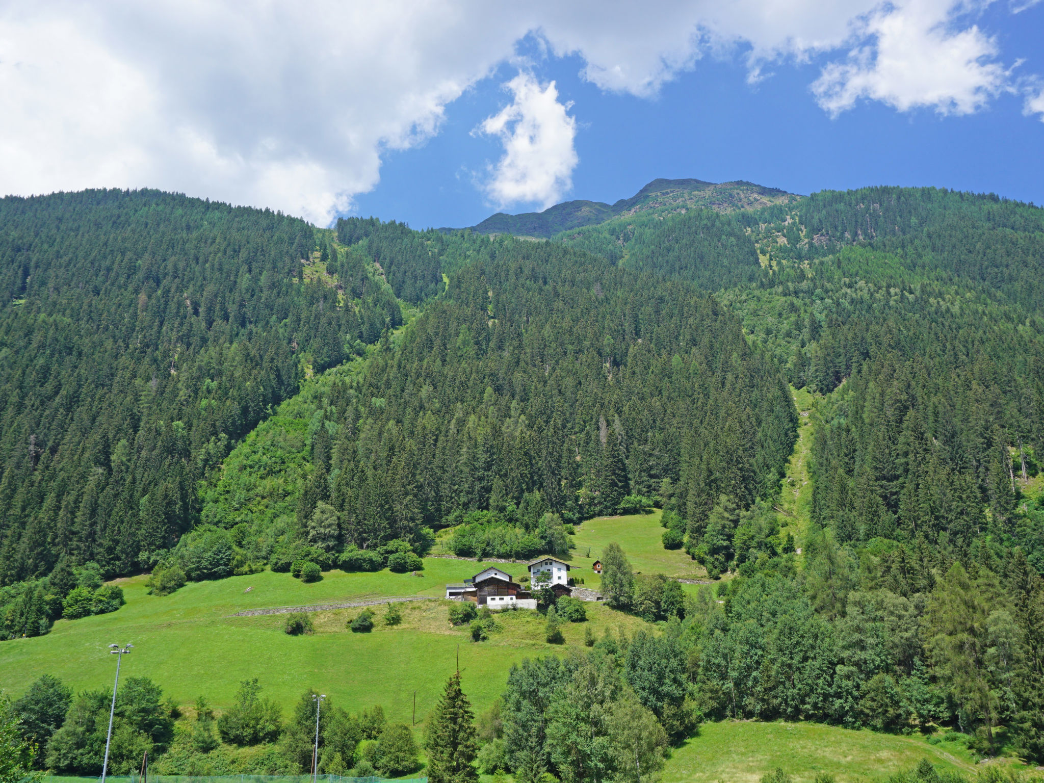Photo of Hirsch
