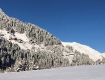 Ferienwohnung Bergblick