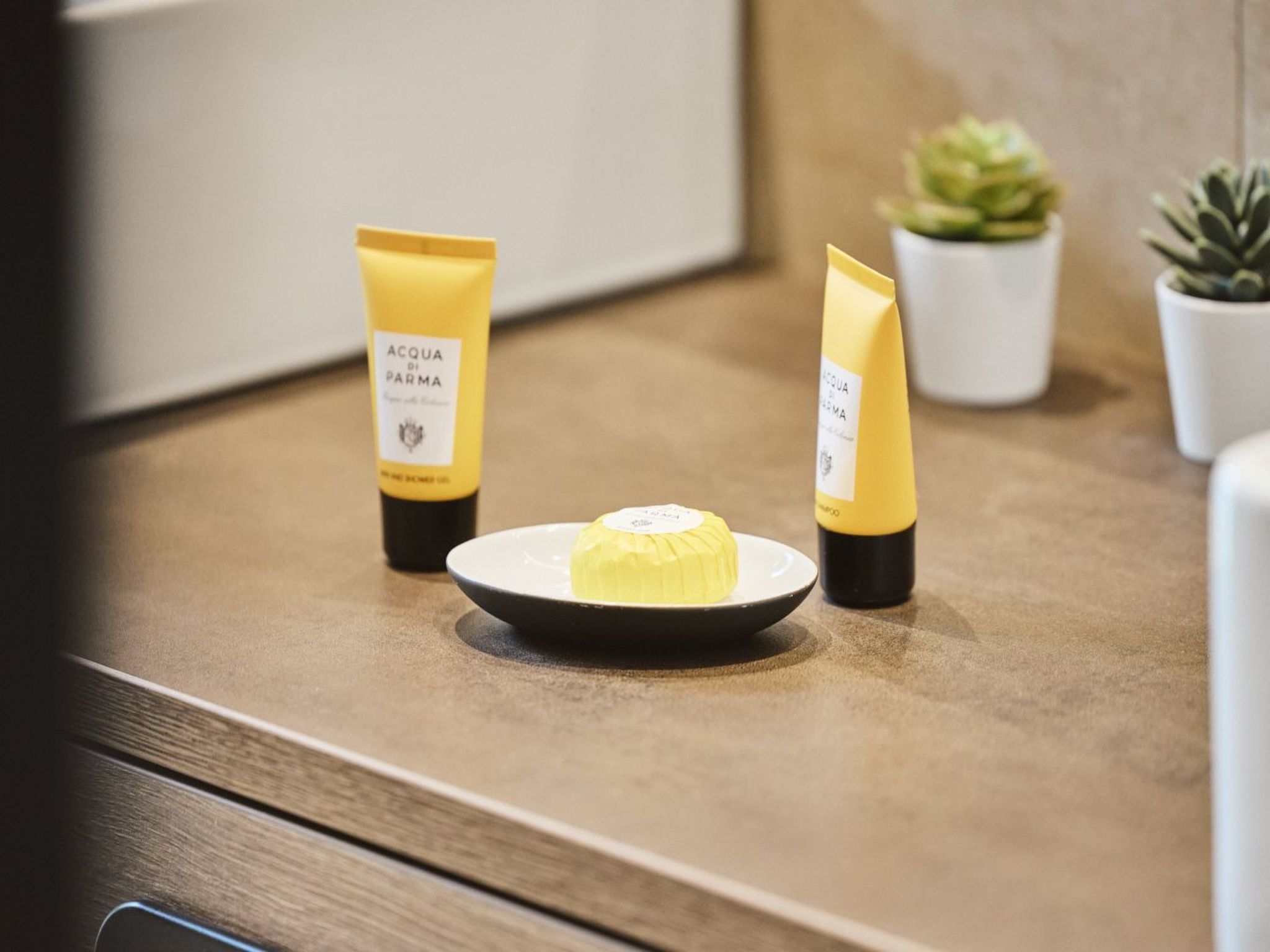 Stillvolle Luxus Wohnung in der Residenz Silvretta-Image-tags.info