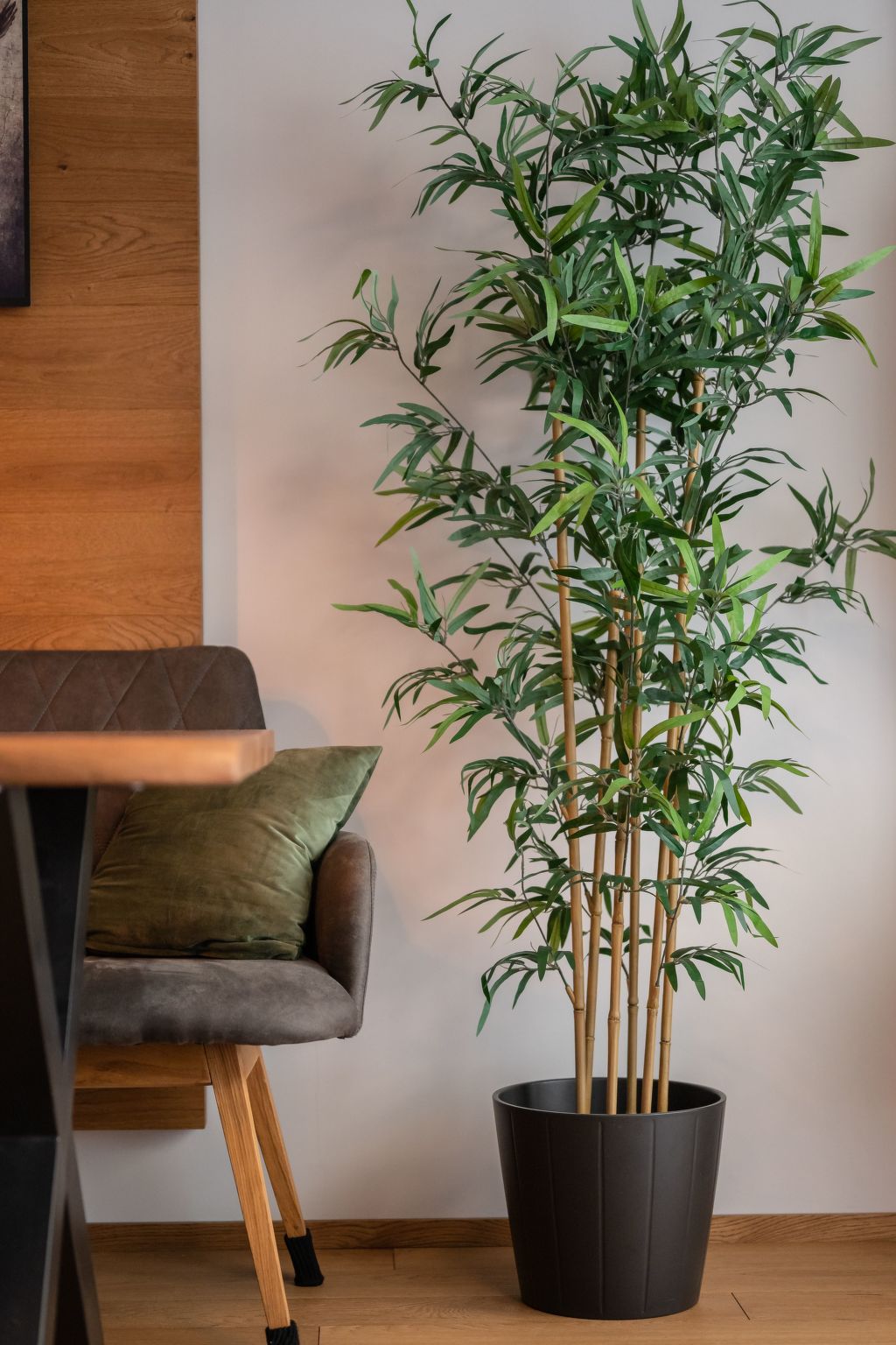 Kleiner Alpiner Boudoir-Image-tags.info