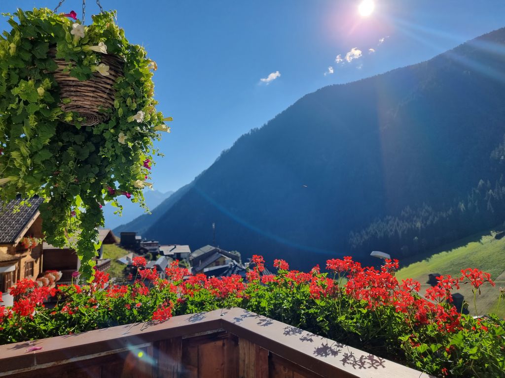 Garni Vesul (KPL104)