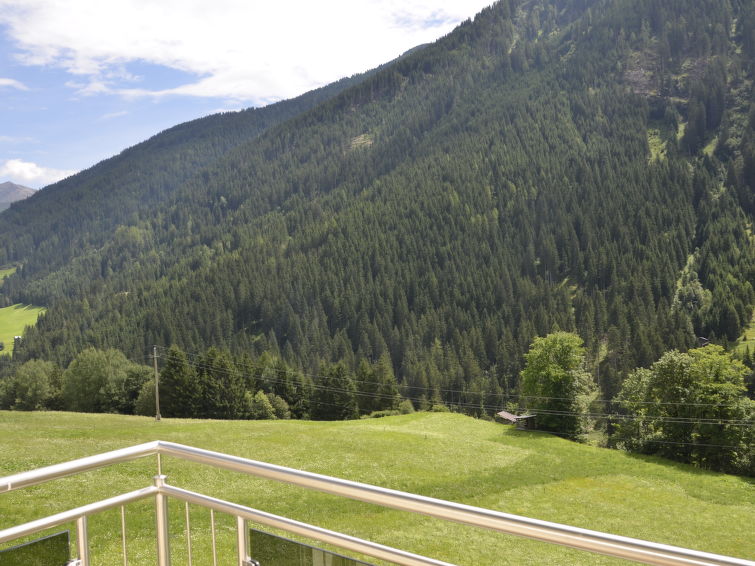 Photo of Alpenrose